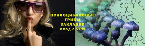 молекула духа Аркадак