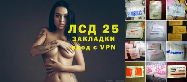 молекула духа Арсеньев