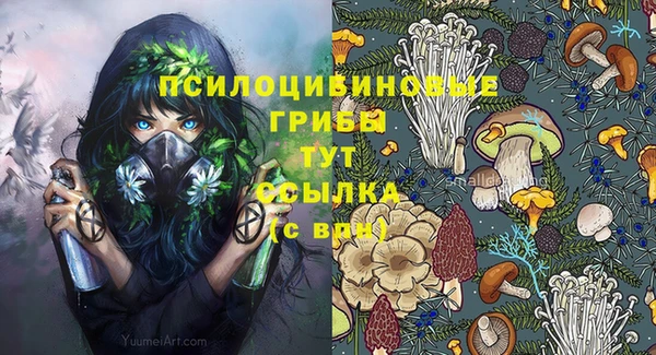 молекула духа Аркадак