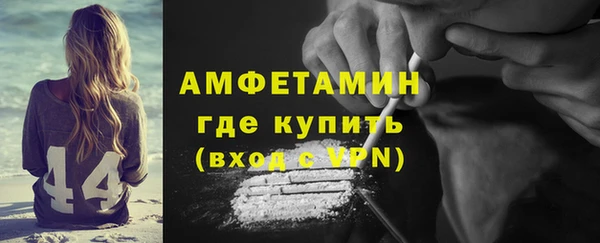 молекула духа Арсеньев