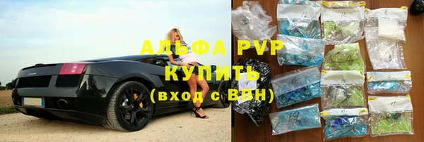 молекула духа Арсеньев