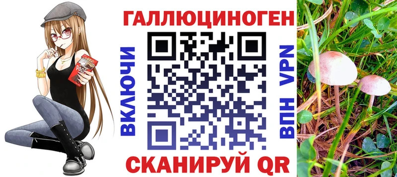 Псилоцибиновые грибы прущие грибы  Певек 